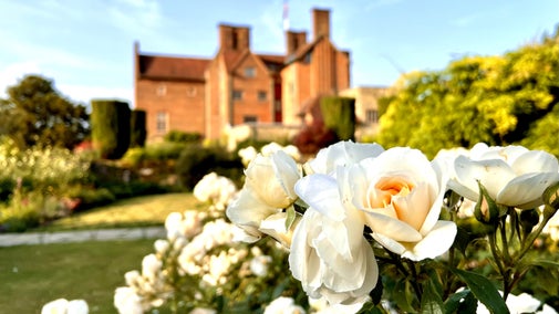 Close up of white roses from Lady Churchill's Rose Garden with the house at Chartwell in the background